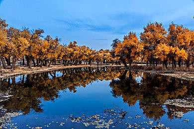 1.1.2版《塞尔达传说：王国之泪》发现新复制BUG